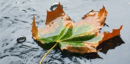 Upravljanje s padavinskimi vodami