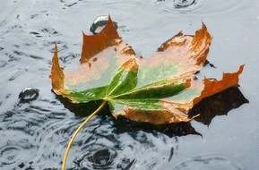 Upravljanje s padavinskimi vodami